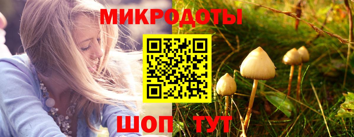 Псилоцибиновые грибы мухоморы  Вход с VPN  Нижний Тагил  Галлюциногенные грибы Cubensis 