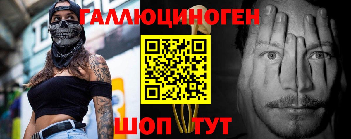 Галлюциногенные грибы Psilocybe Нижний Тагил